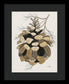 Colorado Fat Pine Cone Fine Art Print - Framed Print