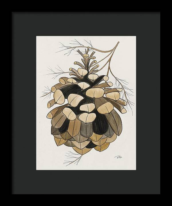 Colorado Fat Pine Cone Fine Art Print - Framed Print