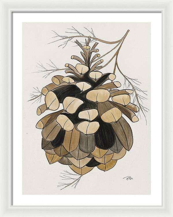 Colorado Fat Pine Cone Fine Art Print - Framed Print