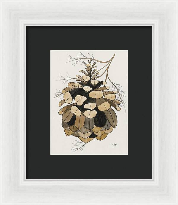 Colorado Fat Pine Cone Fine Art Print - Framed Print