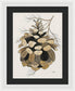 Colorado Fat Pine Cone Fine Art Print - Framed Print