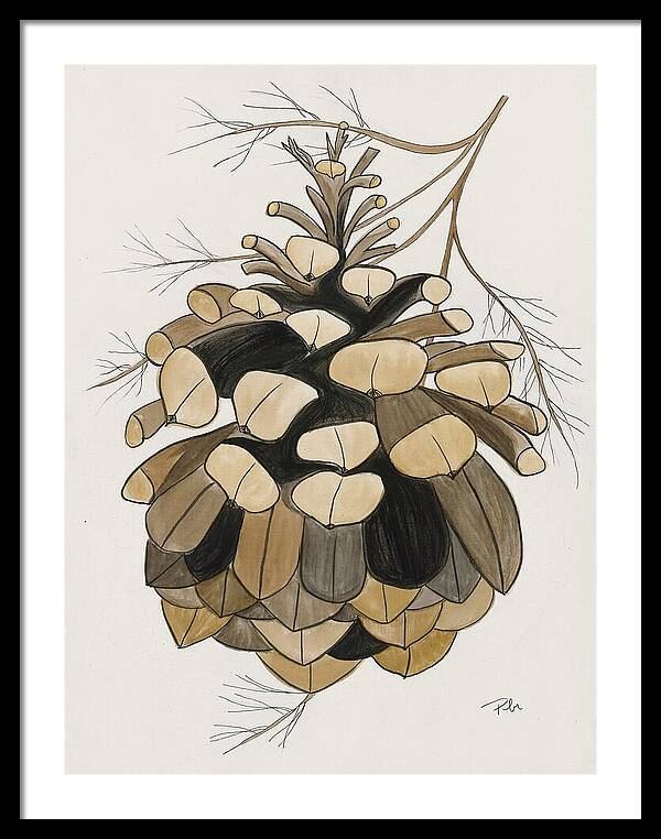 Colorado Fat Pine Cone Fine Art Print - Framed Print