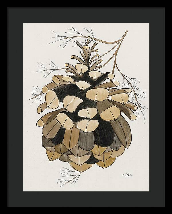 Colorado Fat Pine Cone Fine Art Print - Framed Print