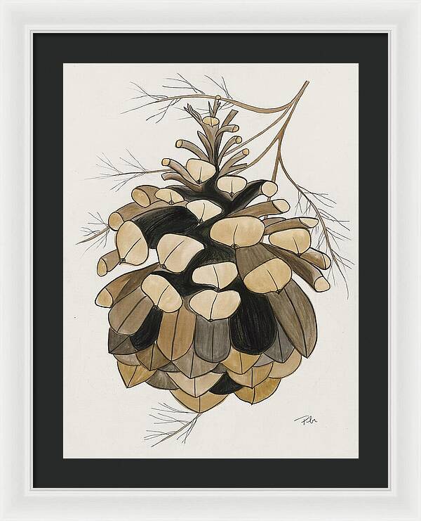 Colorado Fat Pine Cone Fine Art Print - Framed Print