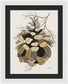 Colorado Fat Pine Cone Fine Art Print - Framed Print