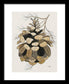 Colorado Fat Pine Cone Fine Art Print - Framed Print