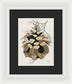 Colorado Fat Pine Cone Fine Art Print - Framed Print